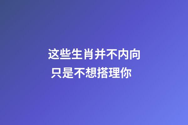 这些生肖并不内向 只是不想搭理你
